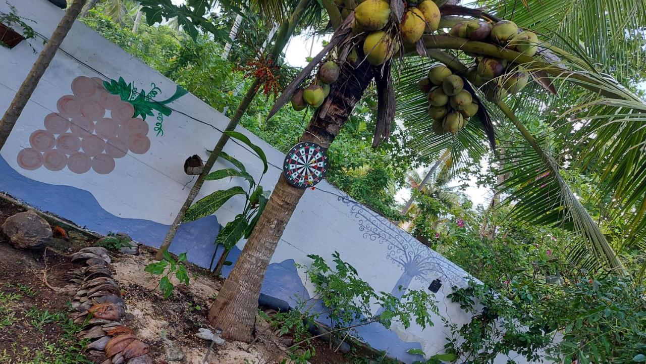 Wine Tree Garden Guesthouse Mirissa Extérieur photo