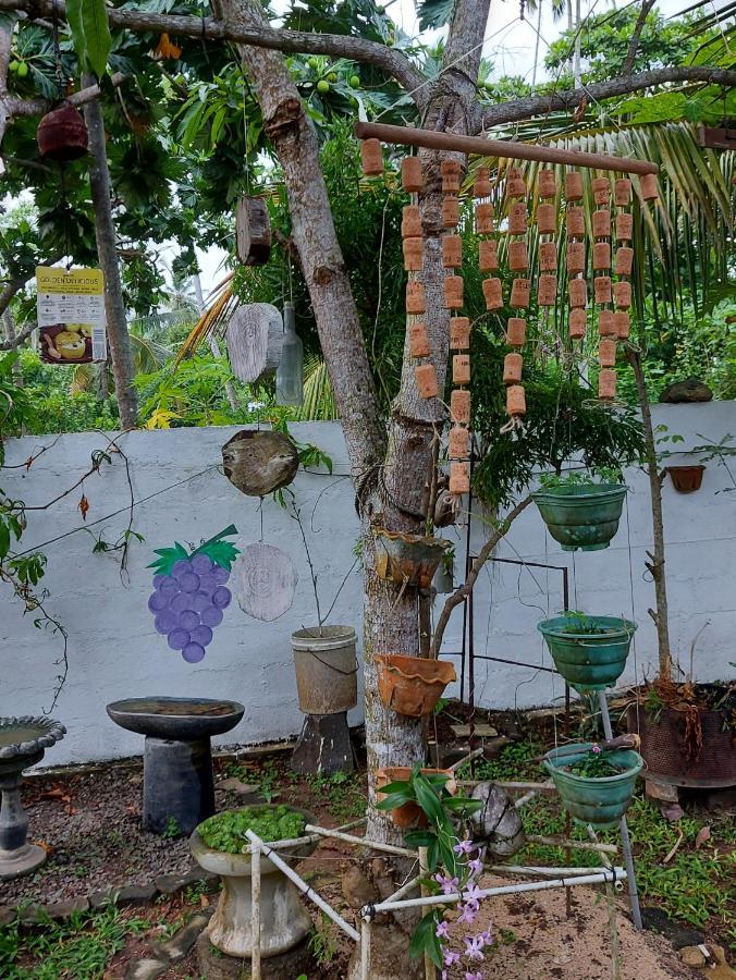 Wine Tree Garden Guesthouse Mirissa Extérieur photo