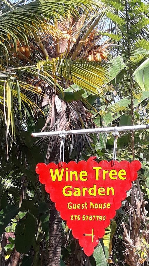 Wine Tree Garden Guesthouse Mirissa Extérieur photo