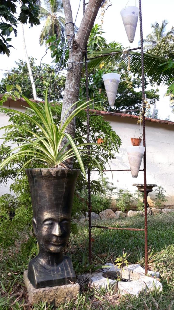 Wine Tree Garden Guesthouse Mirissa Extérieur photo